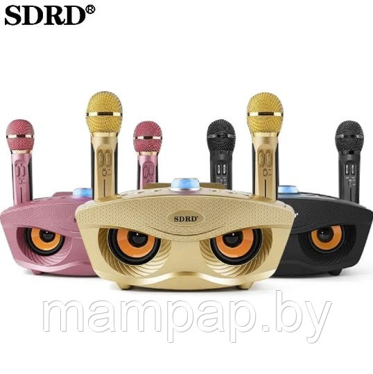 SDRD SD-306 СОВА Караоке система с двумя микрофонами Bluetooth - фото 1 - id-p188914411