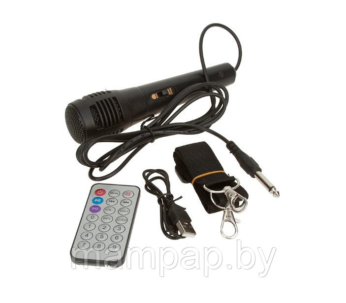 ZQS-4248 беспроводная портативная колонка Bluetooth + пульт + проводной микрофон - фото 4 - id-p188922913