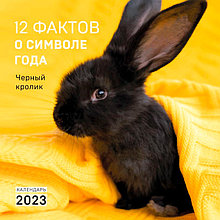 12 фактов о символе года. Черный кролик. Календарь настенный на 2023 год (300х300 мм)
