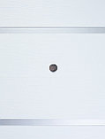 ПРОМЕТ "Марс 12" Бьянко | Входная металлическая дверь, фото 3
