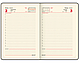Ежедневник датированный 2023 А5 138x213 мм  "Iguana", под кожу, коричневый,, фото 2