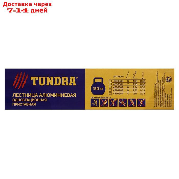 Лестница TUNDRA, алюминиевая, односекционная, приставная, 8 ступеней, 2230 мм - фото 3 - id-p188541570
