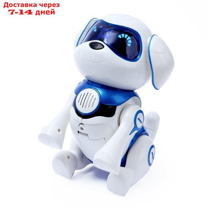 Интерактивная собака-робот "Чаппи", русское озвучивание, световые и звуковые эффекты, цвет синий - фото 5 - id-p188534796