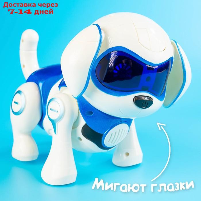 Интерактивная собака-робот "Чаппи", русское озвучивание, световые и звуковые эффекты, цвет синий - фото 6 - id-p188534796