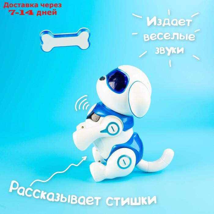 Интерактивная собака-робот "Чаппи", русское озвучивание, световые и звуковые эффекты, цвет синий - фото 7 - id-p188534796