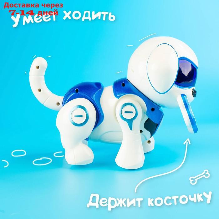Интерактивная собака-робот "Чаппи", русское озвучивание, световые и звуковые эффекты, цвет синий - фото 10 - id-p188534796