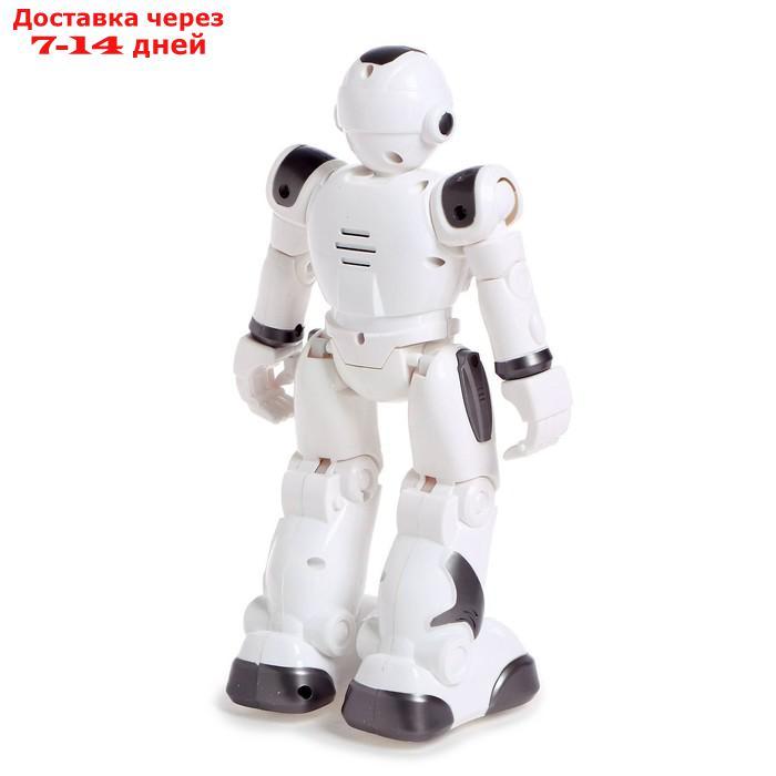 Робот-игрушка радиоуправляемый IQ BOT GRAVITONE, русское озвучивание, цвет серый - фото 3 - id-p188535911