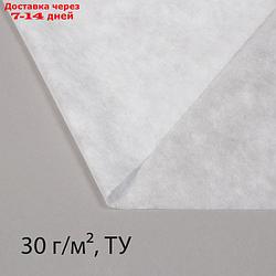 Материал укрывной, 20 × 3,2 м, плотность 30, с УФ-стабилизатором, белый, Greengo, Эконом 20%