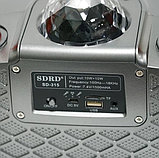 SDRD SD-315 беспроводная стерео система Караоке 20Вт + 2 микрофона + подсветка, фото 4