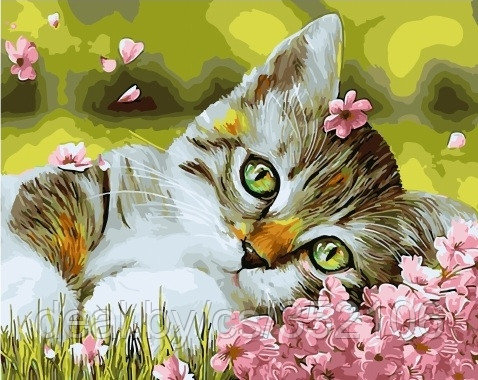 Рисование по номерам "Котенок на лужайке" картина