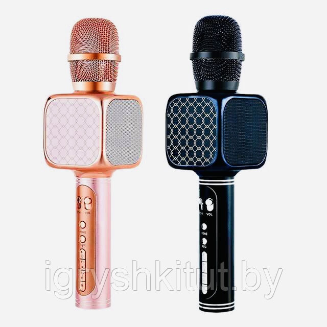 Портативная Колонка-Микрофон Magic Karaoke SU·YOSD (Bluetooth, USB, TF, AUX), арт.YS-69 - фото 2 - id-p179489119