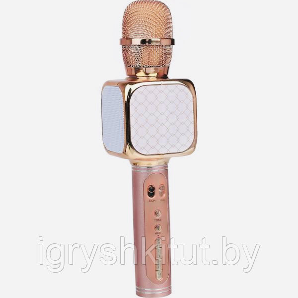 Портативная Колонка-Микрофон Magic Karaoke SU·YOSD (Bluetooth, USB, TF, AUX), арт.YS-69 - фото 1 - id-p179489119