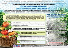 Пленка "СУПЕРАГРО 7" 120 мкм 6х70 м, многолетняя светостабилизированная парниковая, фото 3