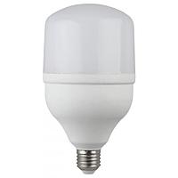 ЭРА Б0027006 Светодиодная лампа LED smd POWER T120-40W-6500-E27 ЭРА Б0027006