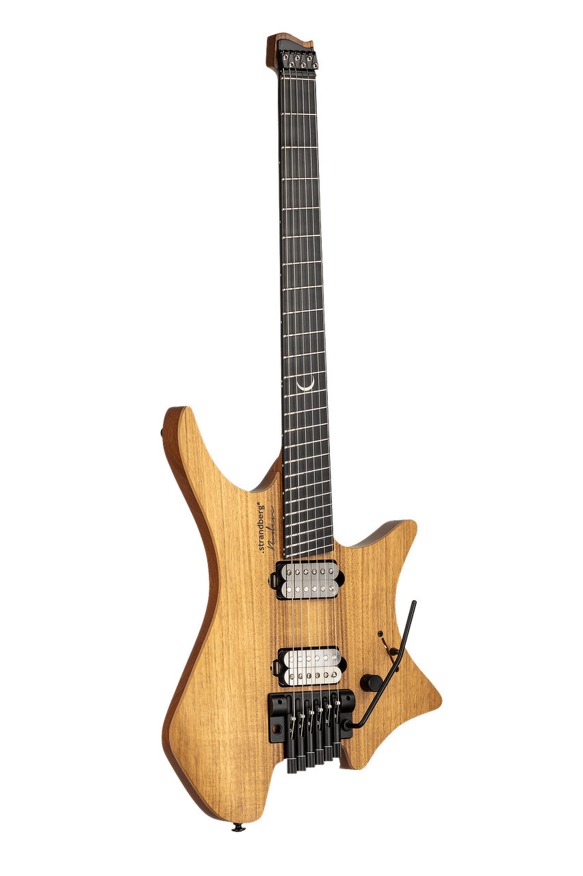 Strandberg Boden Prog NX 6 Plini Edition - фото 2 - id-p189170205