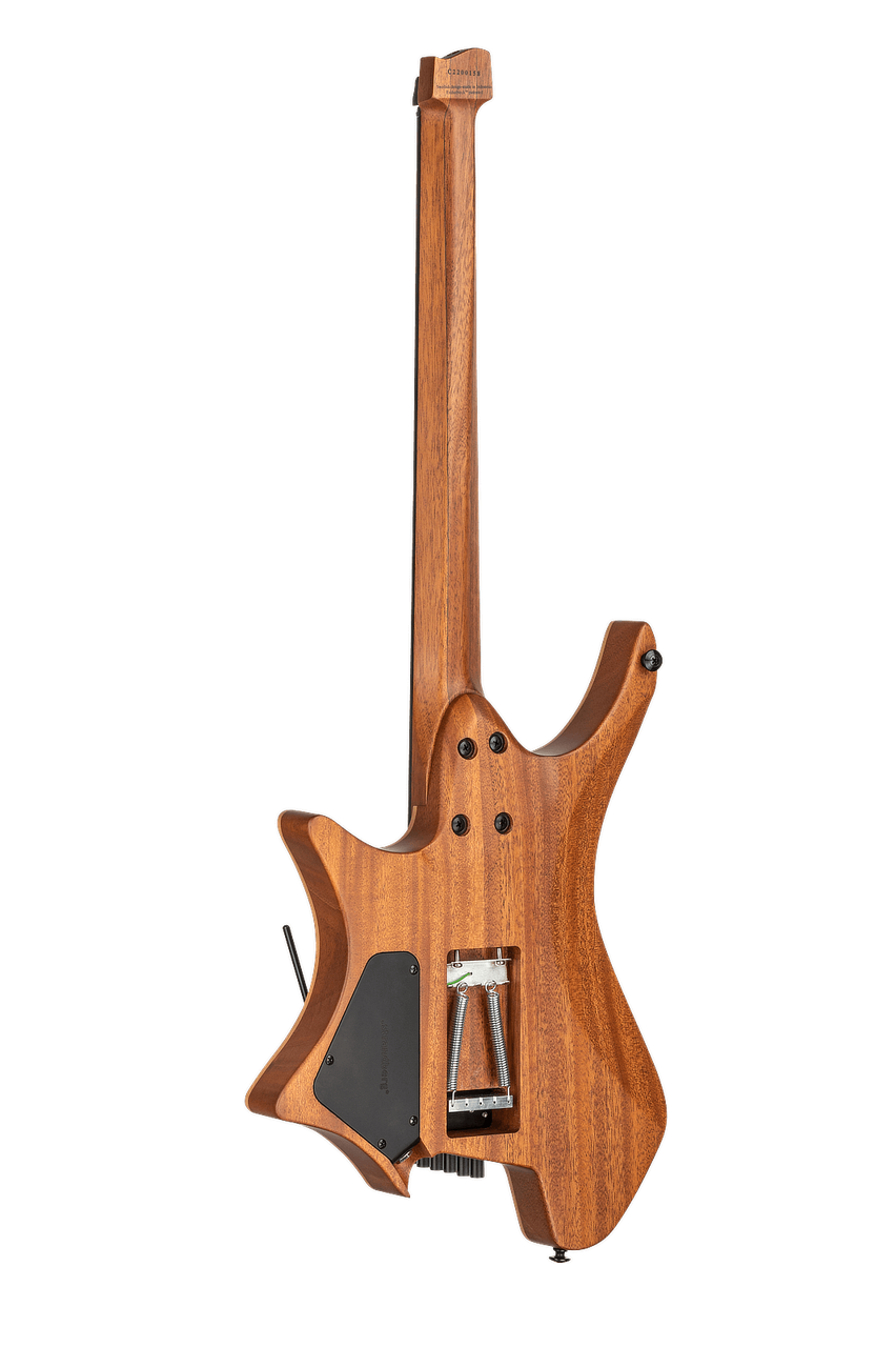 Strandberg Boden Prog NX 6 Plini Edition - фото 3 - id-p189170205