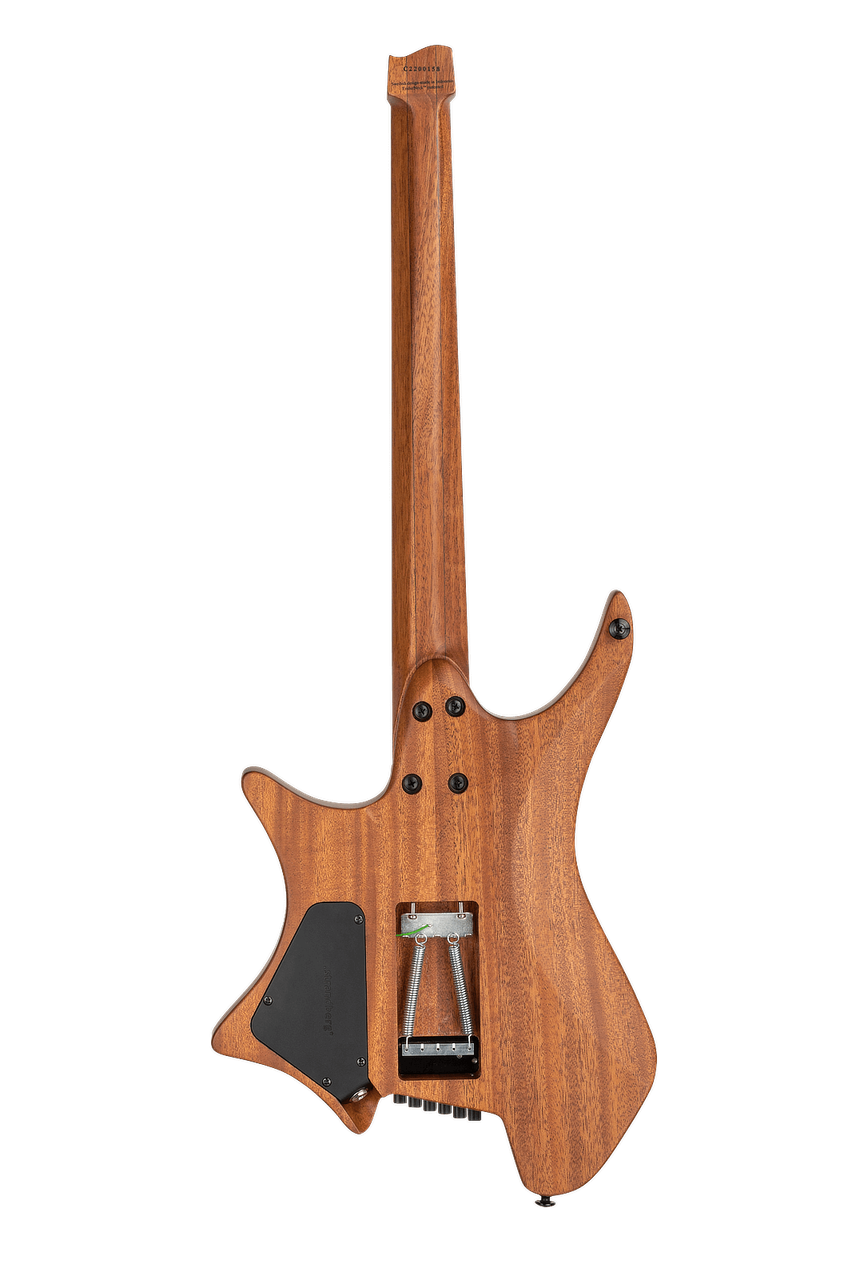 Strandberg Boden Prog NX 6 Plini Edition - фото 5 - id-p189170205