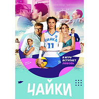 Чайки 16 серий (DVD)