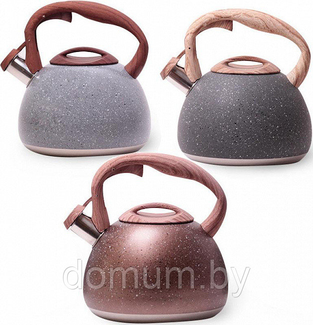 Чайник со свистком 2.8 л из нержавеющей стали для всех типов плит Kamille KM-0699 - фото 3 - id-p189345369
