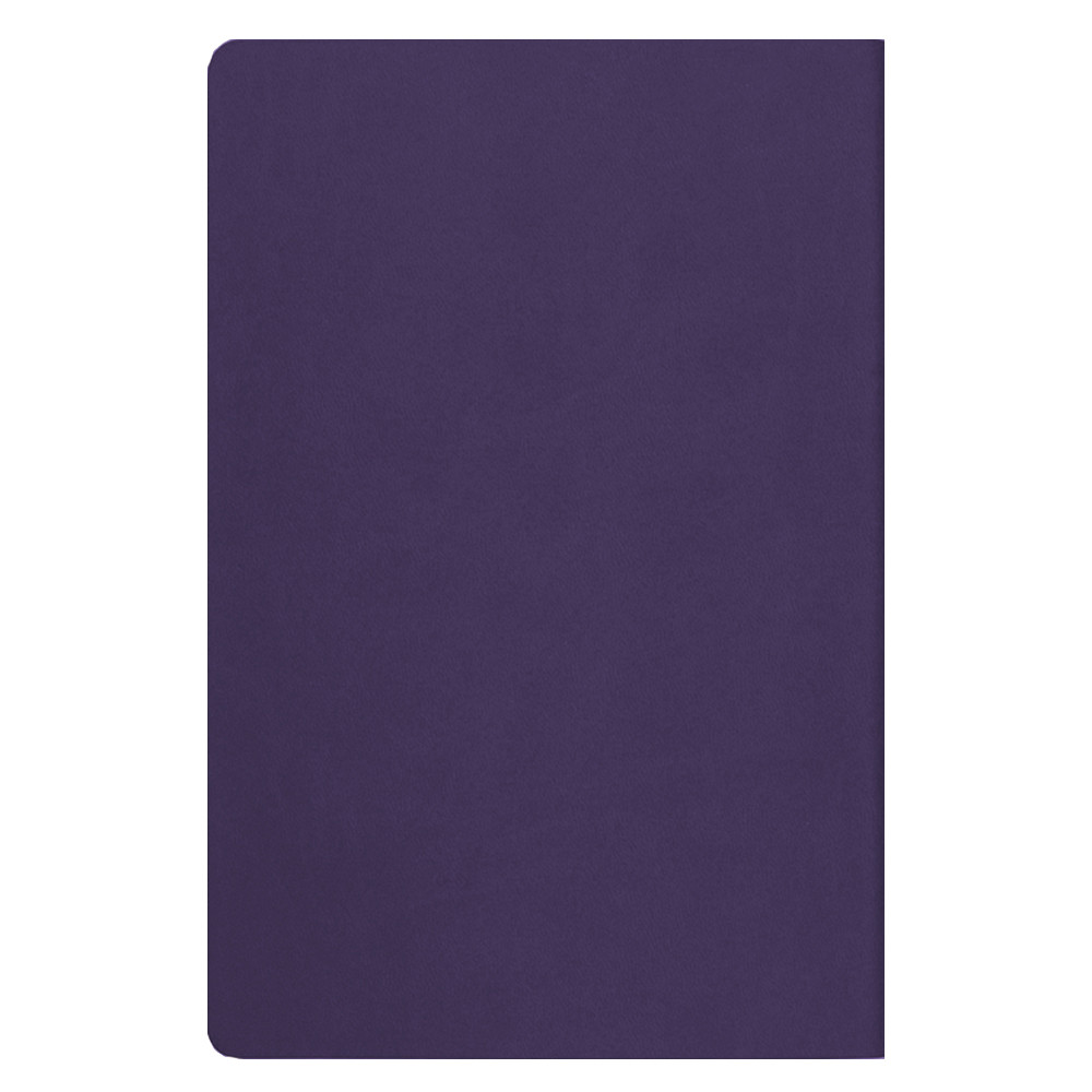 Ежедневник Flexy Soft Touch Latte А5 недатированный, в гибкой обложке - фото 3 - id-p160077249