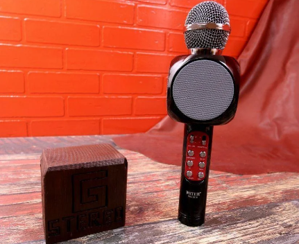 Беспроводной караоке микрофон со встроенной колонкой WS-1816 - фото 5 - id-p189368925
