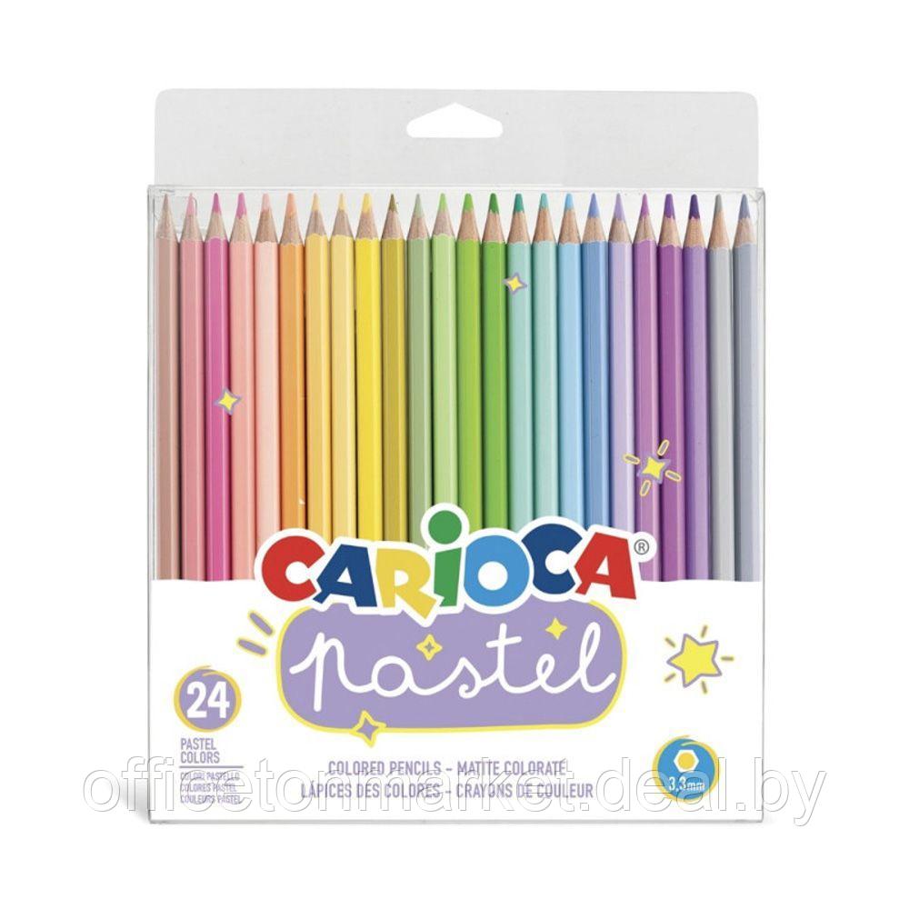 Цветные карандаши "Pastel", 24 цвета - фото 1 - id-p189368884