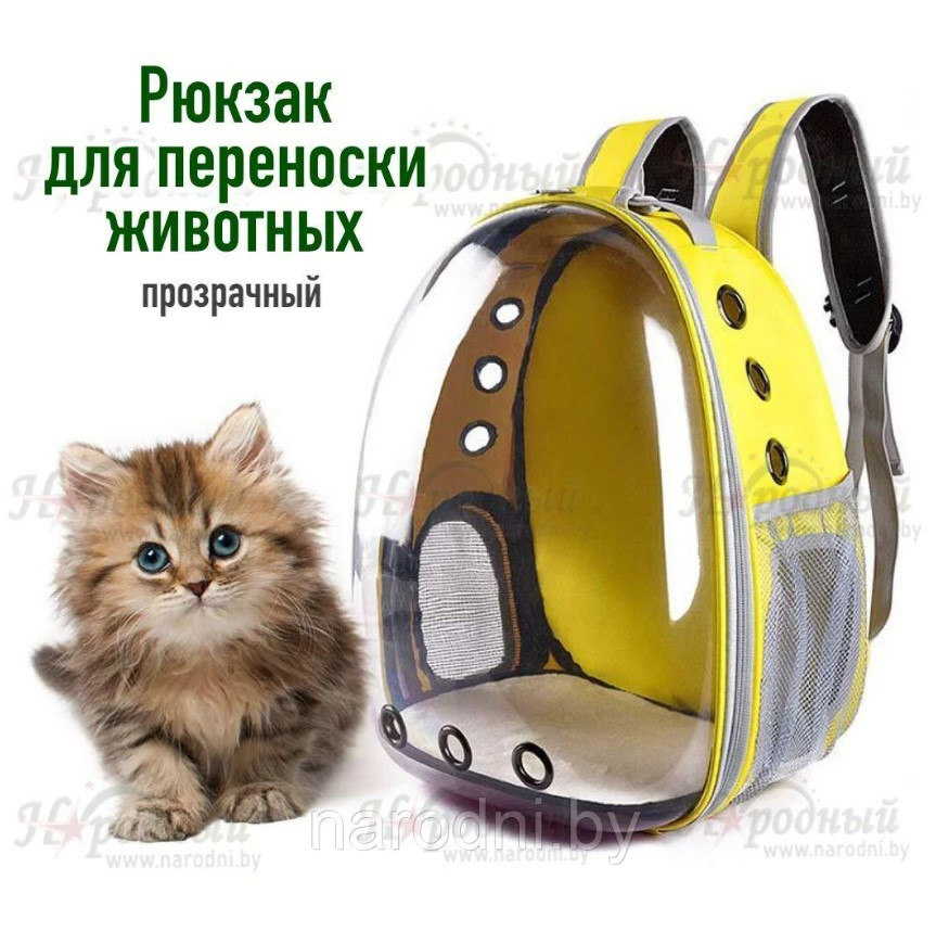 Рюкзак для переноски животных прозрачный Желтый - фото 1 - id-p189449507