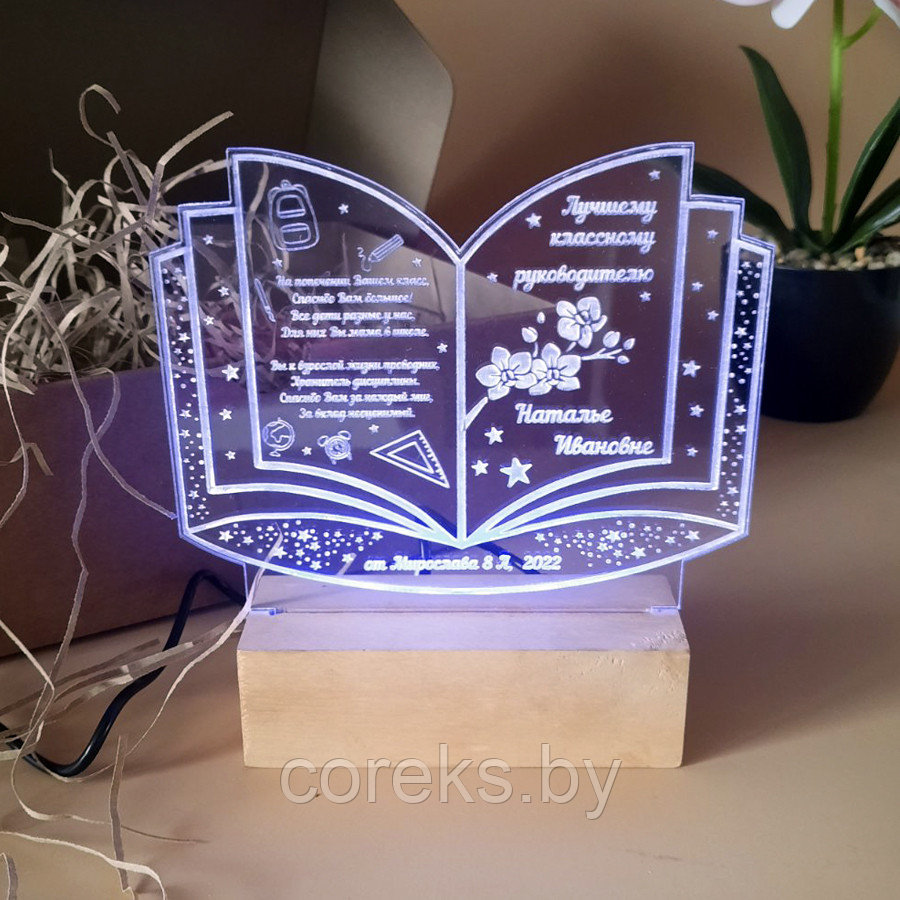 Светильник для учителя "Книга" - фото 3 - id-p189449656