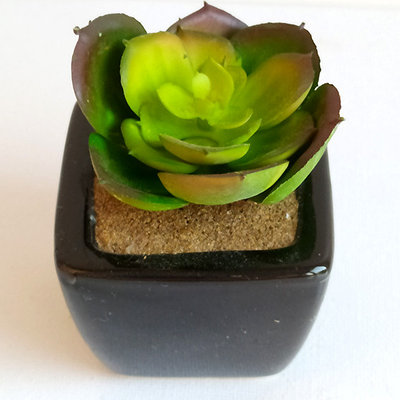 Суккулент искусственный в горшочке