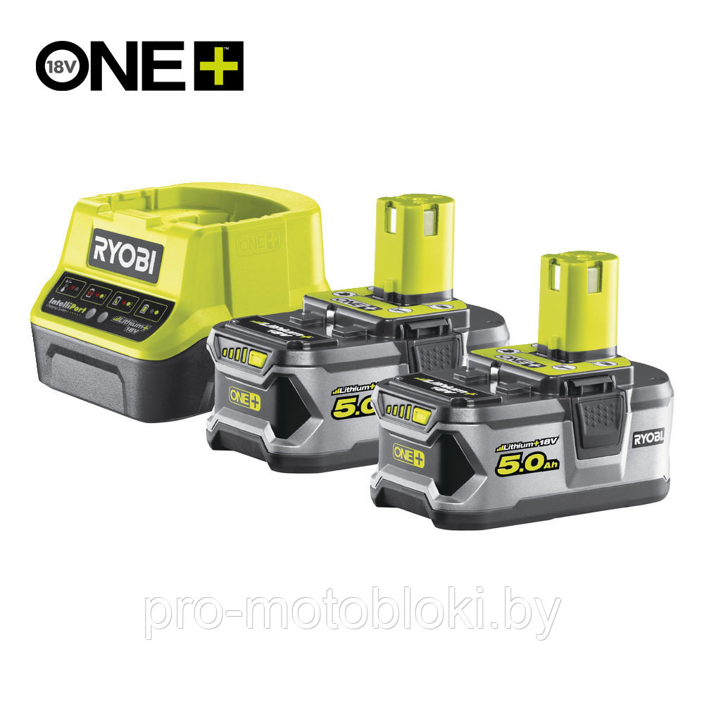 ONE + / Аккумулятор (2) с зарядным устройством RYOBI RC18120-250 - фото 1 - id-p158581747