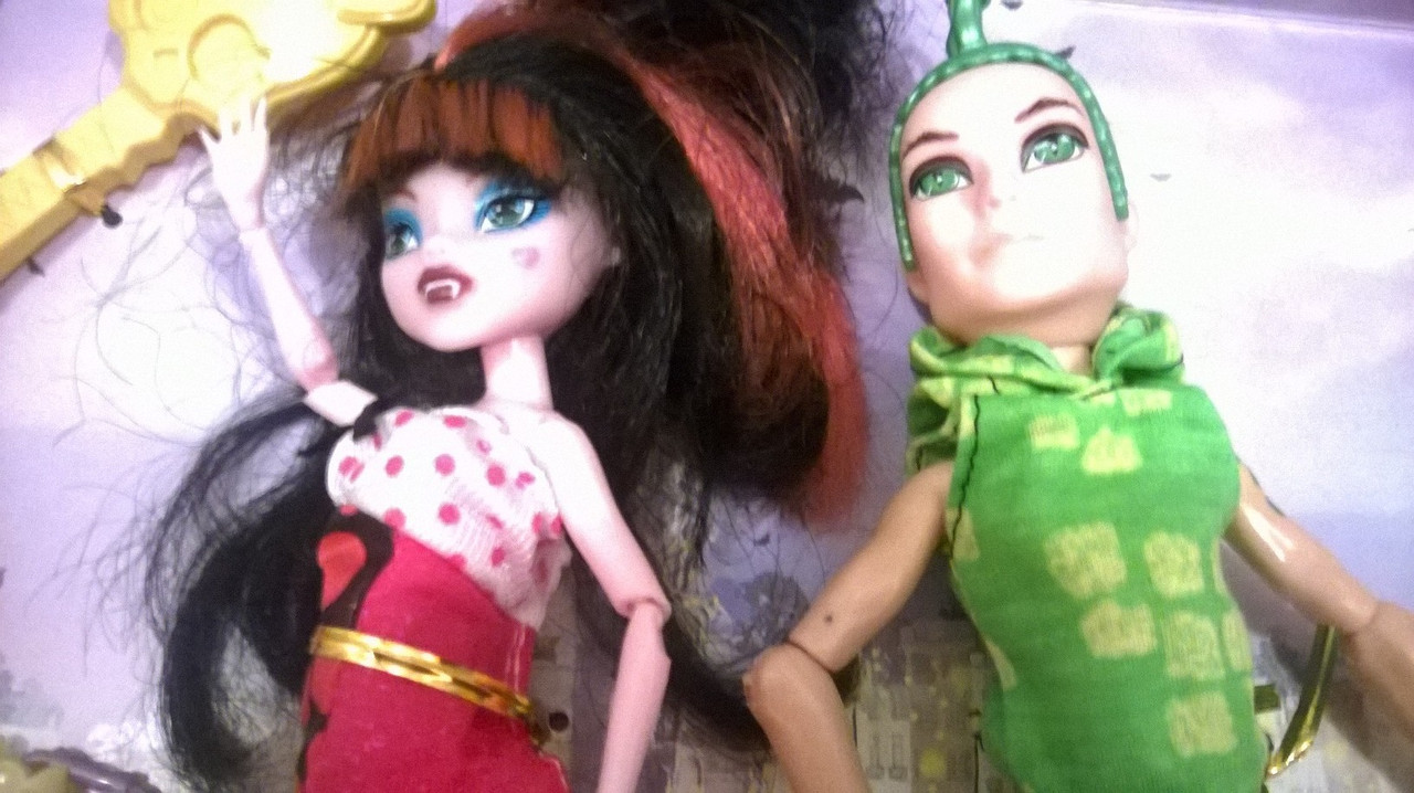 Купить куклу Монстер Хай в Украине недорого со стопроцентной гарантией качества.