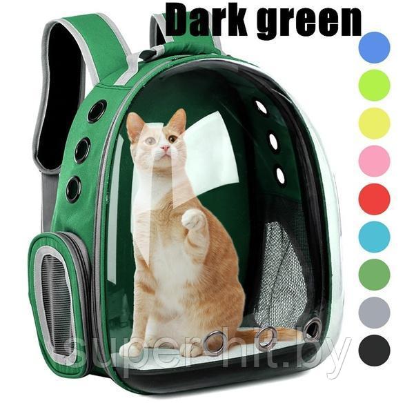 Рюкзак для переноски животных прозрачный Зеленый - фото 1 - id-p184485287