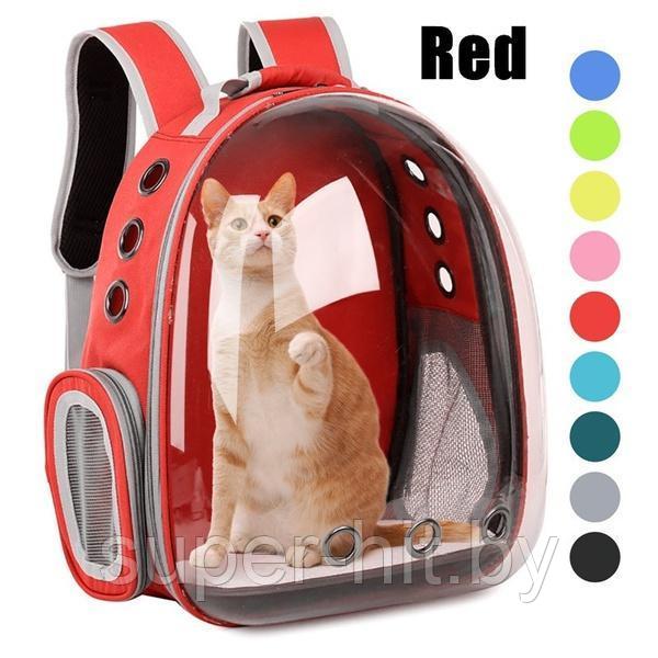 Рюкзак для переноски животных прозрачный Красный - фото 1 - id-p184485289