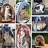 Рюкзак переноска с ПРОЗРАЧНЫМ окном для домашних животных (мелких пород собак, кошек), фото 8