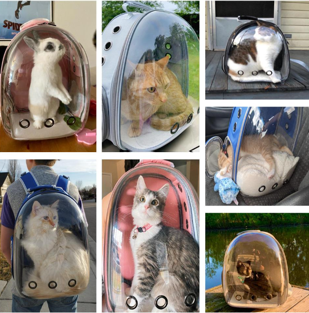 Рюкзак переноска с ПРОЗРАЧНЫМ окном для домашних животных (мелких пород собак, кошек) - фото 8 - id-p176848550