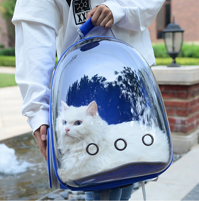 Рюкзак переноска с ПРОЗРАЧНЫМ окном для домашних животных (мелких пород собак, кошек) - фото 7 - id-p176848550