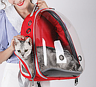Рюкзак переноска с ПРОЗРАЧНЫМ окном для домашних животных (мелких пород собак, кошек), фото 10