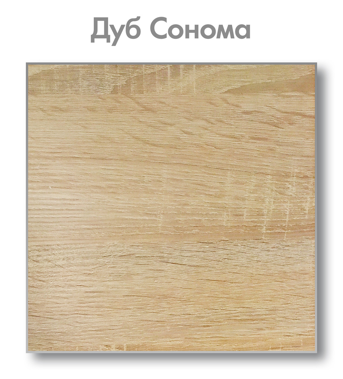 Межкомнатные Двери Дуб Сонома Купить