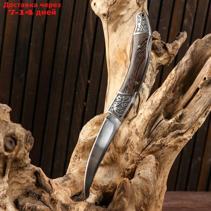 Нож складной "Щука", 21см, клинок 9,5см - фото 2 - id-p189486452