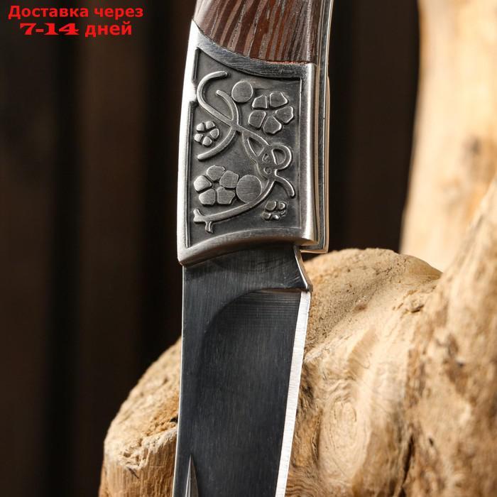 Нож складной "Щука", 21см, клинок 9,5см - фото 3 - id-p189486452