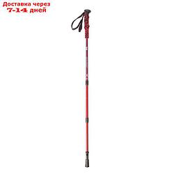 Палка для скандинавской ходьбы телескопическая, 3 секции, алюминий, до 135 см, (1 шт), цвет красно-синий