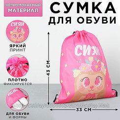 Сумка болоньевая для обуви «Сияй!», 33х43х0,5 см