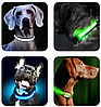 Светящийся ошейник для собак (3 режима) Glowing Dog Collar, фото 4