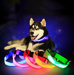 Светящийся ошейник для собак (3 режима) Glowing Dog Collar