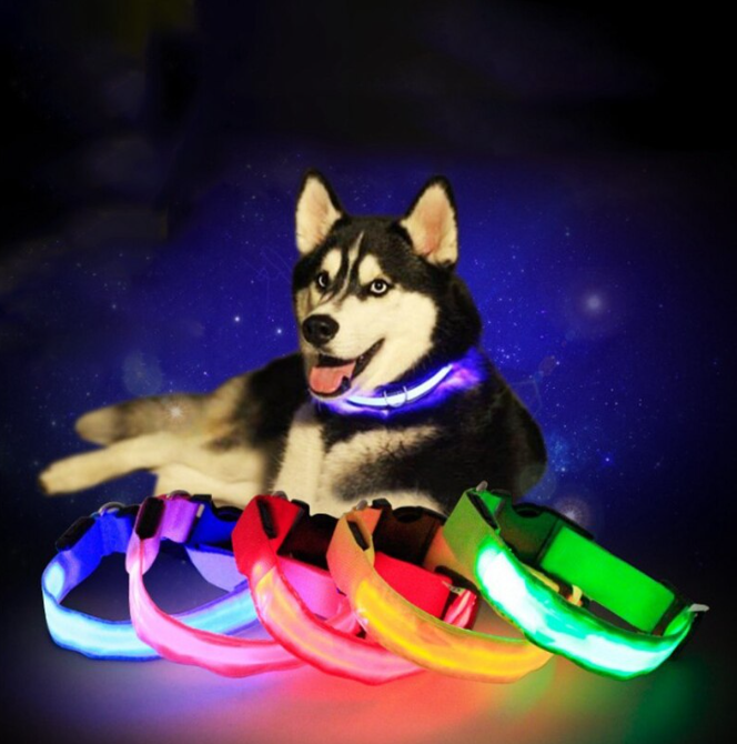 Светящийся ошейник для собак (3 режима) Glowing Dog Collar - фото 1 - id-p189575565