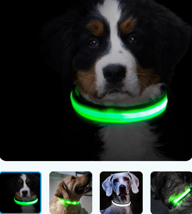 Светящийся ошейник для собак (3 режима) Glowing Dog Collar - фото 10 - id-p189575565