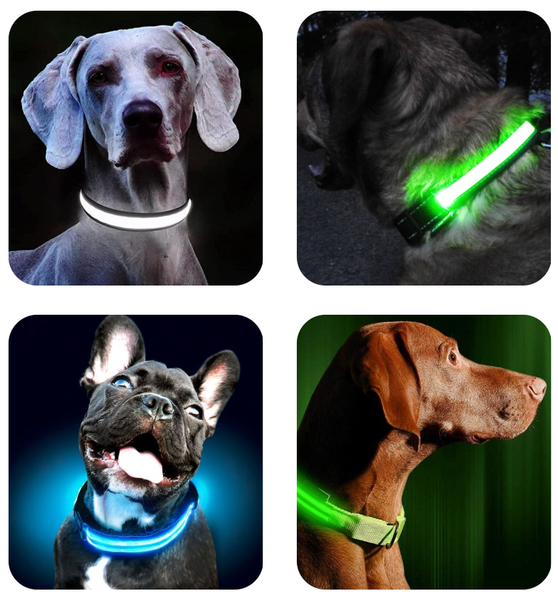 Светящийся ошейник для собак (3 режима) Glowing Dog Collar