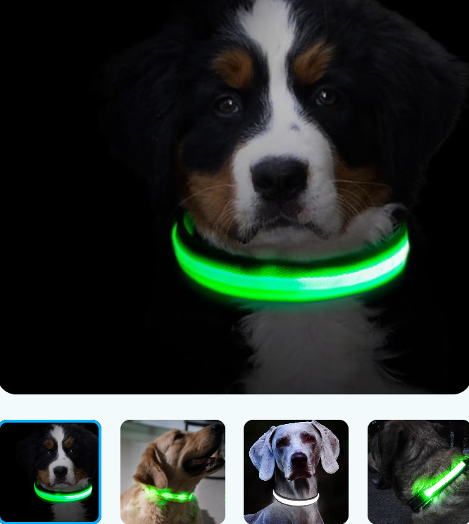 Светящийся ошейник для собак (3 режима) Glowing Dog Collar - фото 10 - id-p189576190