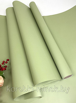 Пленка флористическая Самая нужная 58см* 10м, 55мкр, Зеленый