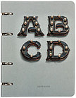 Тетрадь общая А5, 120 л. на кольцах Канц-Эксмо, 160×210 мм, клетка, Буквы